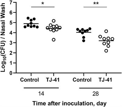 Traditional Japanese Herbal Medicine Hochu-Ekki-to Promotes Pneumococcal Colonization Clearance via Macrophage Activation and Interleukin 17A Production in Mice